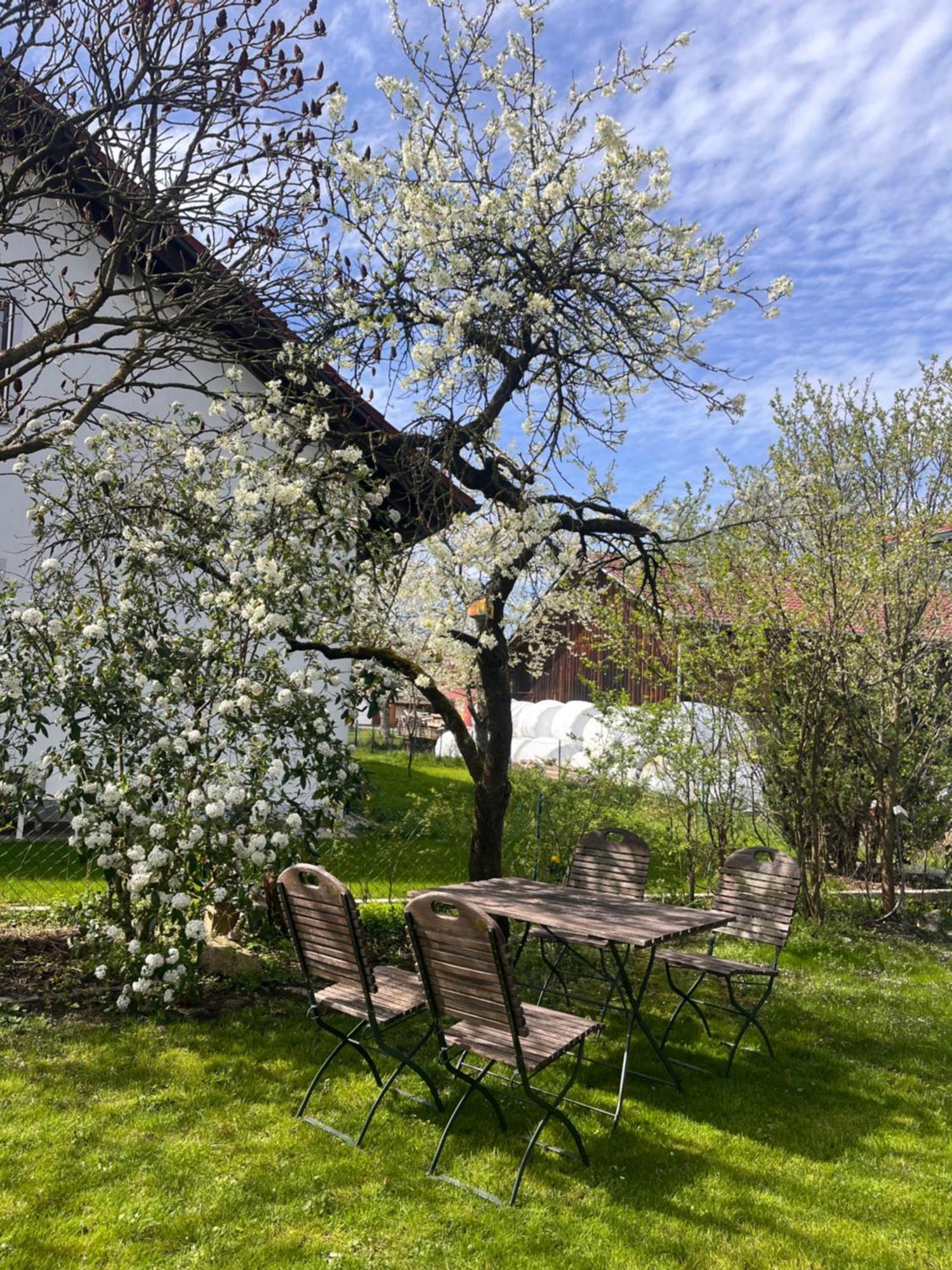 Zimmer Zum Wohlfuehlen Eching (Landshut) Exterior foto